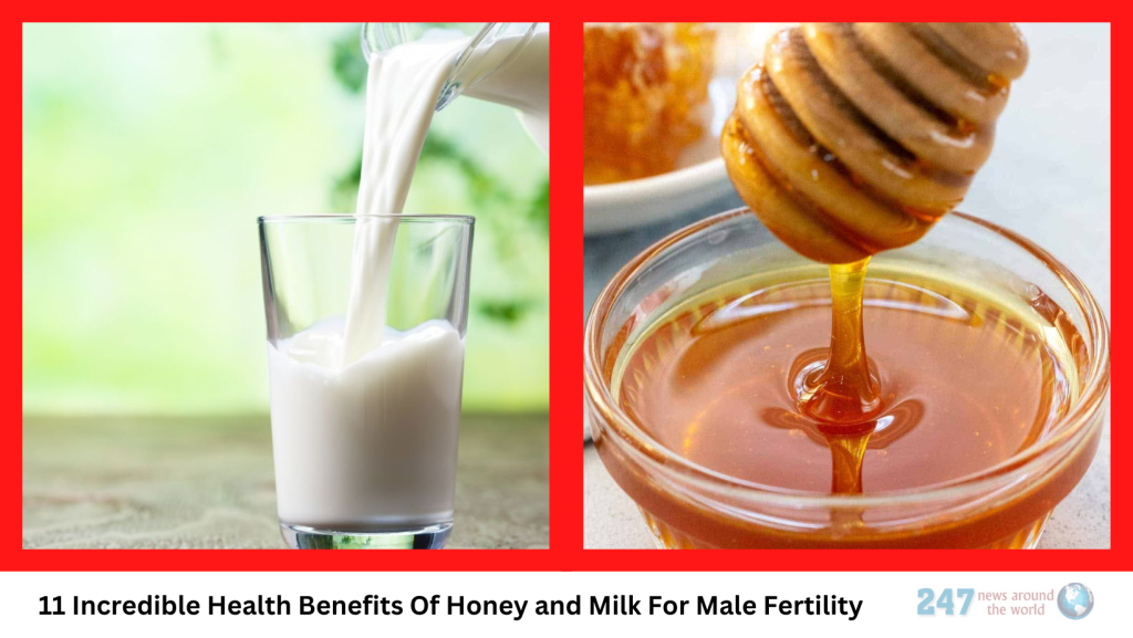 11 Incredible Health Benefits Of Honey and Milk For Male Fertility