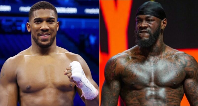 Who Has a Higher Net Worth Between Deontay Wilder vs Anthony Joshua? Age Difference