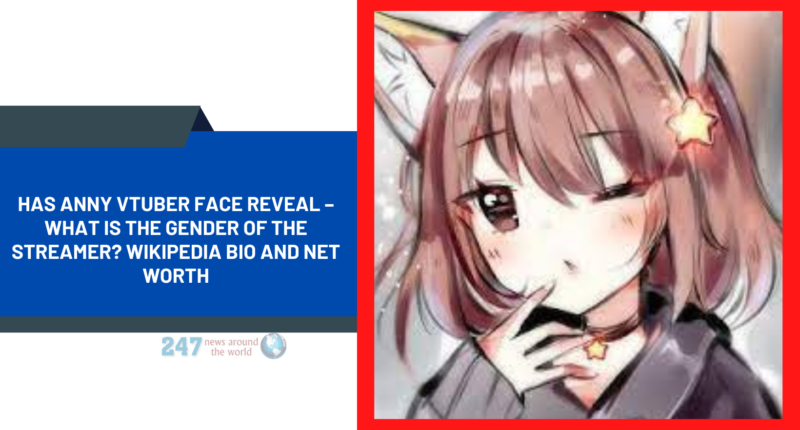 Has Anny Vtuber Face Reveal – What Is The Gender Of The Streamer? Wikipedia Bio And Net Worth