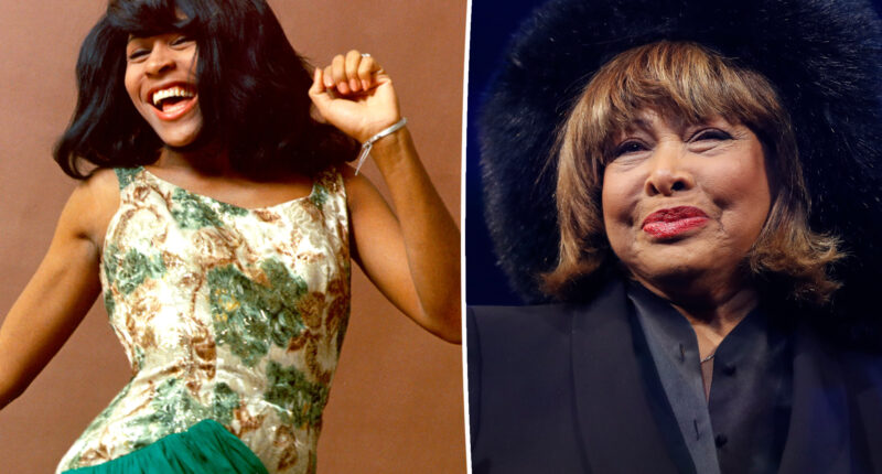 Did Tina Turner Have Alopecia Before Death? Illness And Health Update