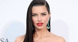 What Is Adriana Lima Net Worth And Income? Lifestyle & Career
