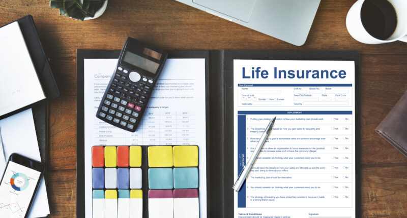 10 Best Life Insurance Companies In USA 2023