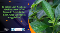 Is Bitter Leaf Acidic or Alkaline: How Often Should I Drink Bitter Leaf Juice (Vernonia amygdalina)