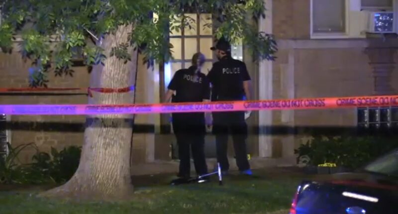 Chicago Shooting 8 Year Old Girl Shot Killed On Long Avenue In Portage Park Suspect In 