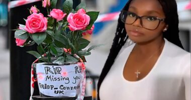 Who Stabbed Elianne Andam To Death in Croydon? Parents, Family, and Suspect