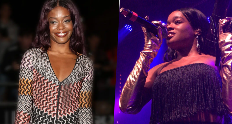 Did Azealia Banks Undergo Plastic Surgery?