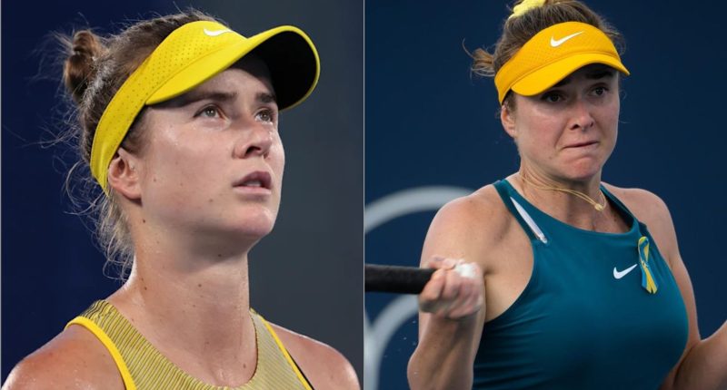 Did Elina Svitolina Undergo Plastic Surgery?