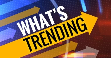 Why Is Frog Girl Trending On Twitter And Reddit? Find Out Here!