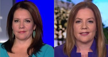 Who Are Mollie Hemingway Husband And Children?
