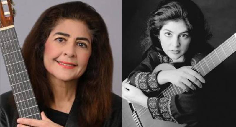 Who Was Guitarist Lily Afshar Partner?