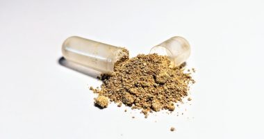 Unlocking the Science-Backed Benefits of Ashwagandha