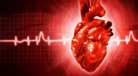 Risk Factors For Coronary Artery Disease (CAD): Symptoms And Causes