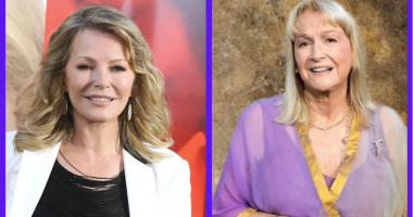 Are Diane Ladd And Cheryl Ladd Related? Family Tree