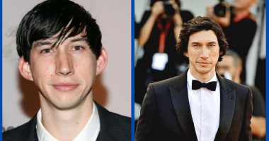 Did Adam Driver Undergo Ear Plastic Surgery?