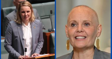 Labor MP Peta Murphy Illness And Health Condition