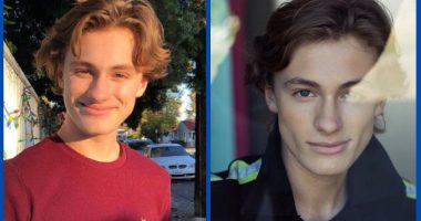 Was Logan Pepper Involved In A Car Accident Or Not?