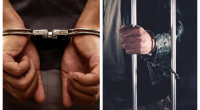 What Did Herbert Henry Brown Arrested For? Cast Of A Discovery Of Witches Charged