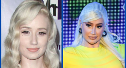 What Plastic Surgery Did Iggy Azalea Undergo?