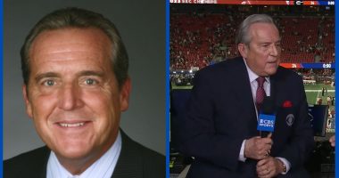 Who Is Sportscaster Brad Nessler Partner Nancy Nessler?