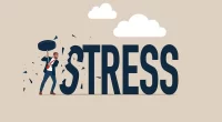 How Stress Alters Brain Neurons And Disturbs Vital Sleep Cycles?