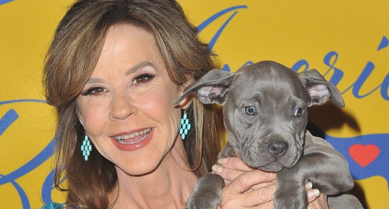Is Linda Blair Suffering From Scoliosis Illness? Health 2023