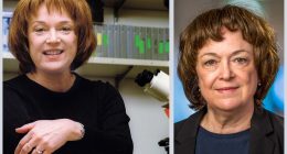 20 Amazing Facts About Dr Linda B Buck