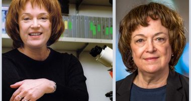 20 Amazing Facts About Dr Linda B Buck