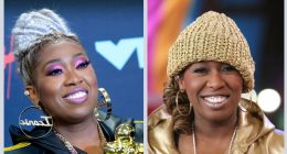 50 Unbelievable Facts About Missy Elliott