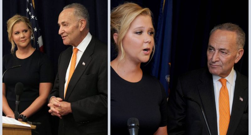 Are Chuck Schumer And Amy Schumer Related Or Cousins?