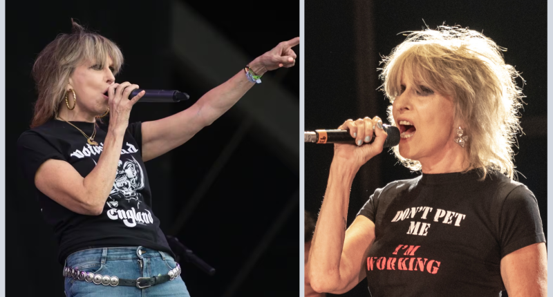 Chrissie Hynde Cancer And Illness Update: Is She Sick?