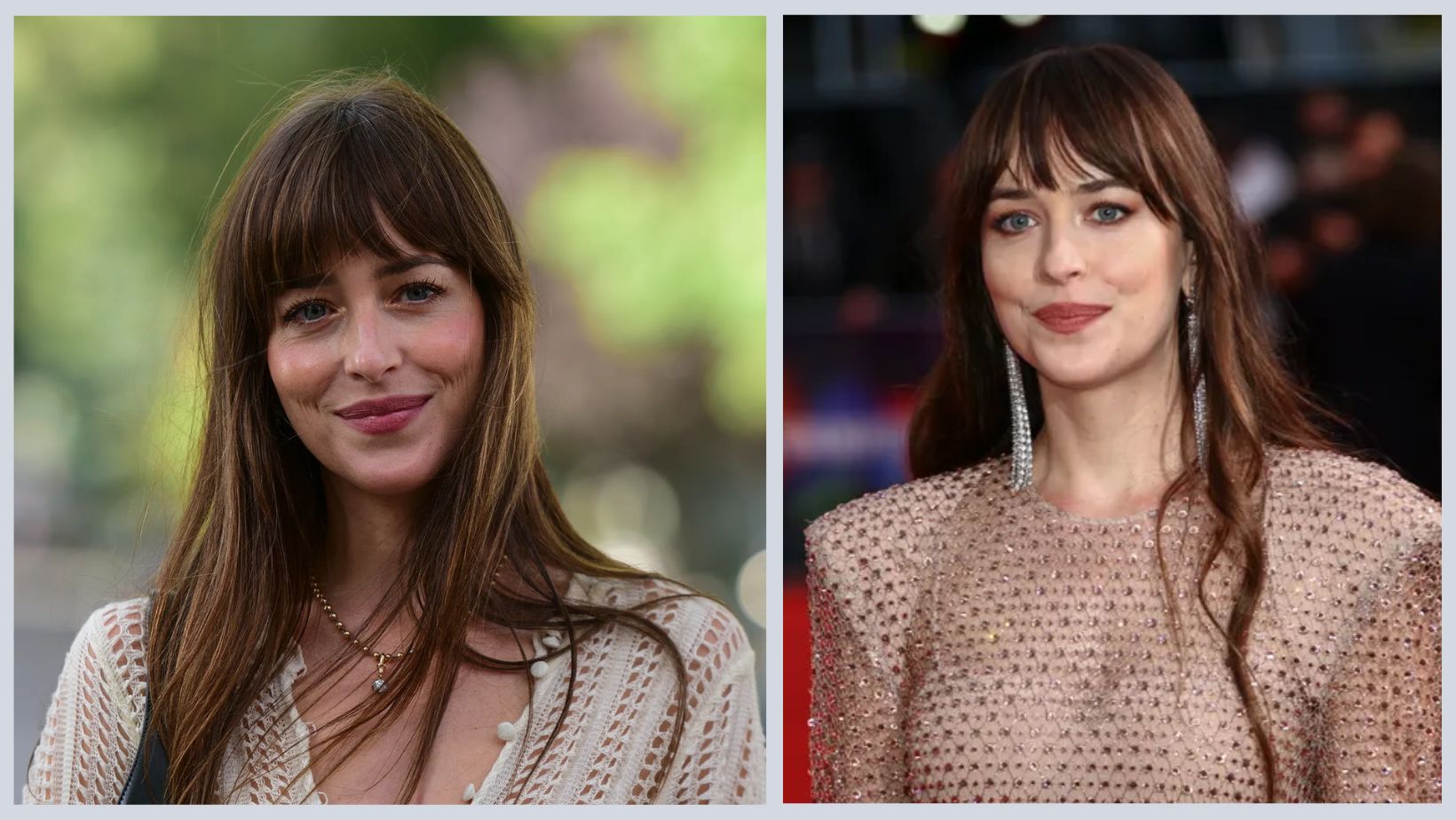 Dakota Johnson Weight Loss Journey: Did She Undergo Surgery? Family And ...