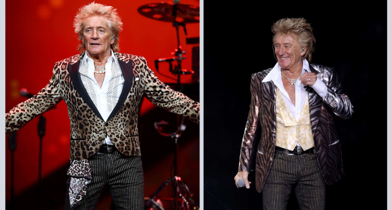 Has Rod Stewart Undergone Plastic Surgery?