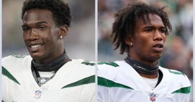 Meet Garrett Wilson Brother Donovan Wilson: Who Is He?