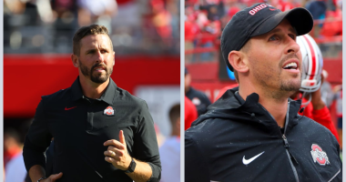 Was Brian Hartline Sacked From Ohio State?