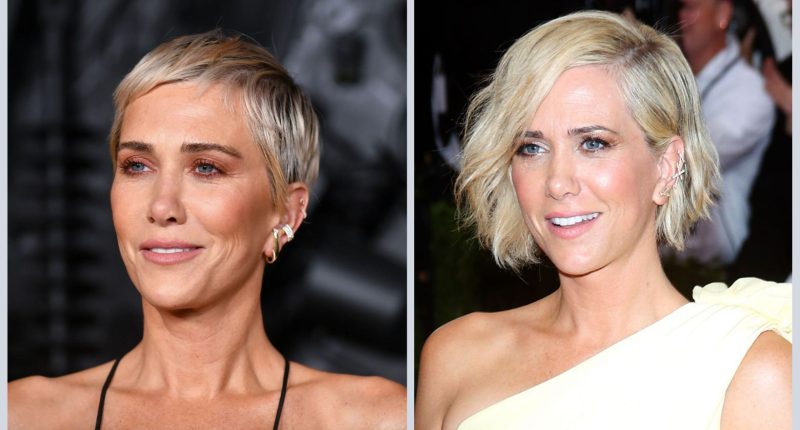 What Plastic Surgery Kristen Wiig Undergo? Husband And Children