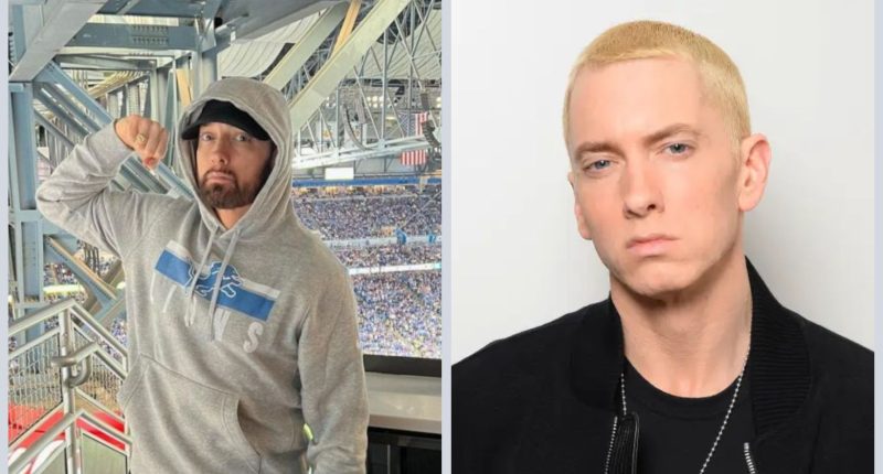 Was Eminem Arrested For Drive-By Shooting?