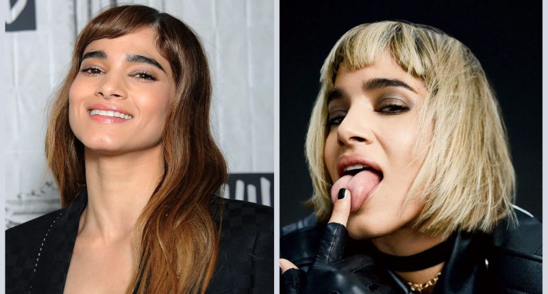 Who Are Sofia Boutella Sister And Brother?