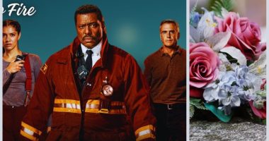 Who Was Dale Hay From Chicago Fire? Wikipedia And Biography