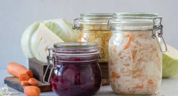 How Probiotics and Prebiotics in Fermented Foods Impact Mental Health