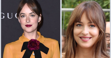 Did Dakota Johnson Have A Scar From Rib Removal?
