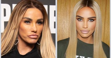 Did Katie Price Do BBL Plastic Surgery?