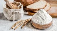 Avoiding Wheat: A Promising Approach to Alleviate Multiple Sclerosis Symptoms?