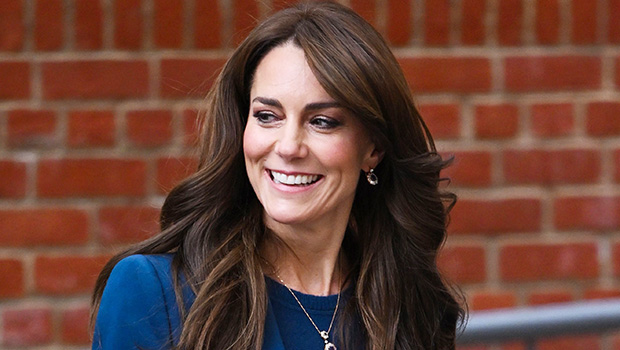 Celebrity Health Scares & Accidents 2024: Kate Middleton Hospitalized ...