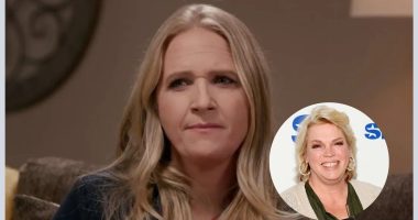 'Sister Wives' Star Christine Brown Shares Heartfelt Tribute Reflecting on the Passing of Janelle Brown's Son