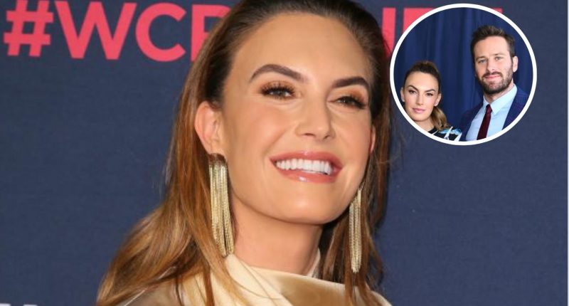 Elizabeth Chambers Shields Armie Hammer's Scandal from Their Children