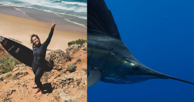 Surfer Fatally Impaled by Swordfish in Indonesia