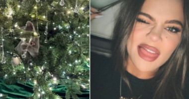 Khloé Kardashian Showcases Lavish Christmas Decor and Adorable Kitty