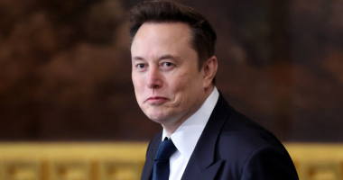 Elon Musk's Role Clarified Amidst Critical DOGE Ruling