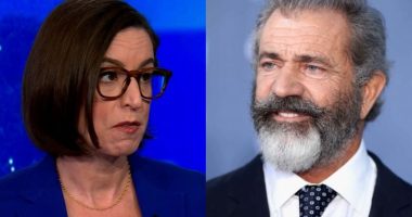 DOJ Official Fired Over Refusal to Reinstate Mel Gibson's Gun Rights