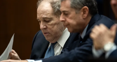 Harvey Weinstein's Lawyer Seeks a New Perspective for Rape Retrial
